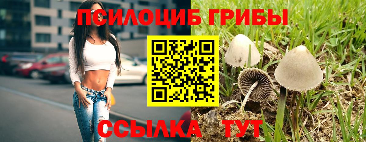 наркошоп  Галлюциногенные грибы Psilocybe  Вход с VPN  Ейск 